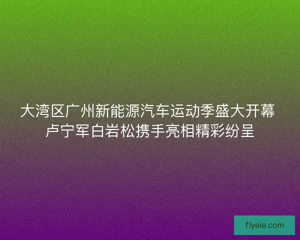 大湾区广州新能源汽车运动季盛大开幕 卢宁军白岩松携手亮相精彩纷呈